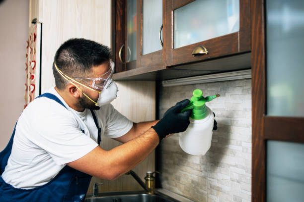 Best Best Pest Control Companies  in Lovettsville, VA