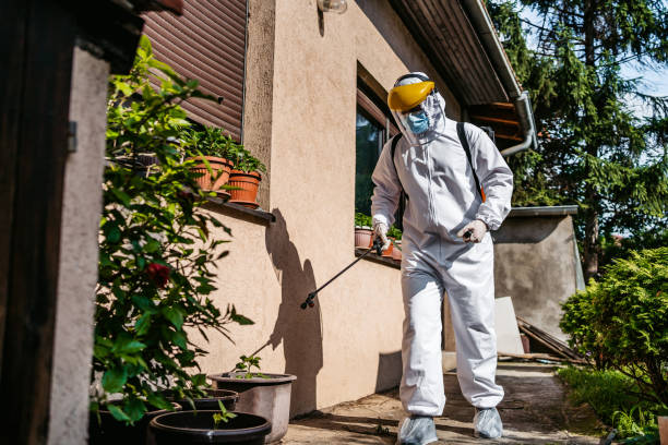 Best Local Pest Control Services  in Lovettsville, VA