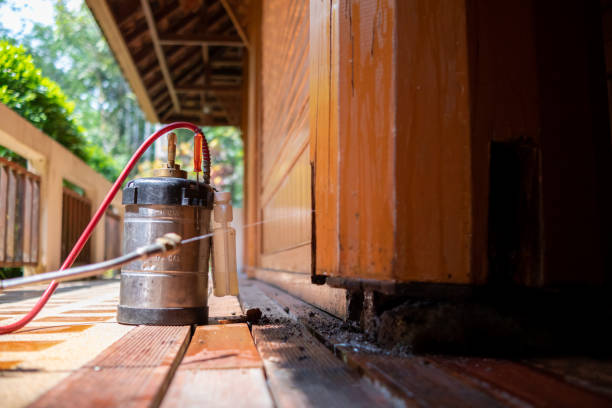 Best Ant Control Services  in Lovettsville, VA