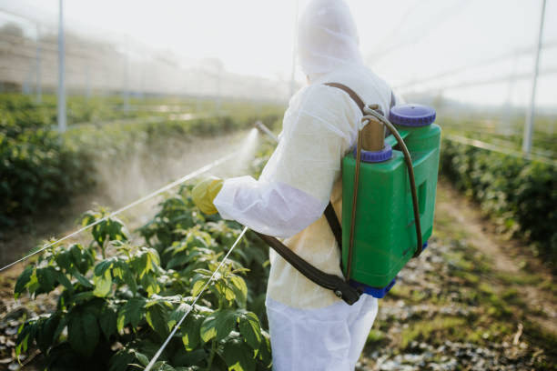 Best Pest Prevention Services  in Lovettsville, VA
